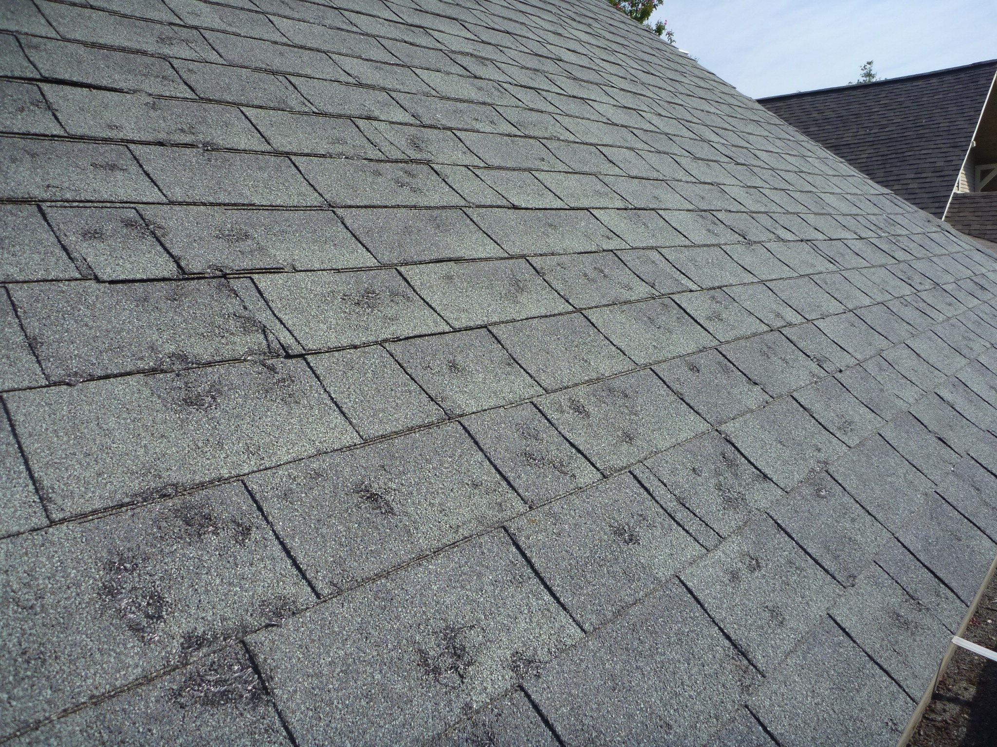Hail damage on residential roof shingles